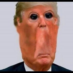 Meet your Posher, Wilson